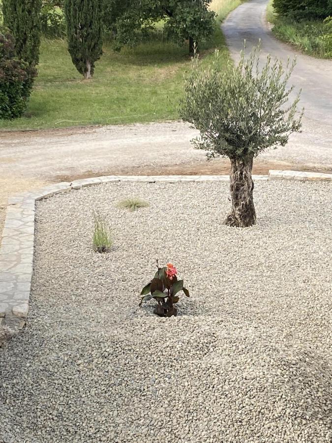 Le Jardin Du Moustoulac Chambres D'Hotes 卡奥尔 外观 照片